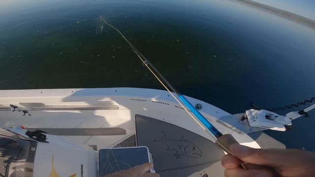 EPIC SALTWATER FLY FISHING [New Zealand] смотреть онлайн