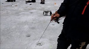 Почему я выбираю удильник Lucky John perch soft, ОБЗОР УДОЧЕК, НОВИНКИ В БЛИЖАЙШЕЕ ВРЕМЯ