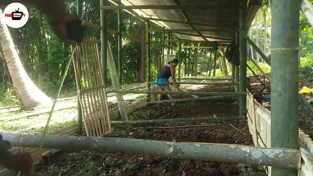 Matipid na Pabahay ng mga Manok | Magkano kaya nagastos?