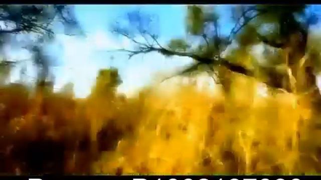 о деньгах смотреть онлайн