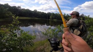 World's BENDIEST FISHING ROD Catches 8 Pounder!