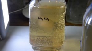 мицелий шиитаке в жидкой питательной среде ( полусинтетика) и авто шприц