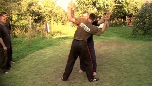 Sergej Borschev, bio-mechanics work