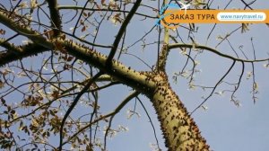 TITANIC BEACH SPA & AQUA PARK 5* Хургада – ТИТАНИК БИЧ СПА ЭНД АКВО ПАРК 5* Хургада отзывы видео