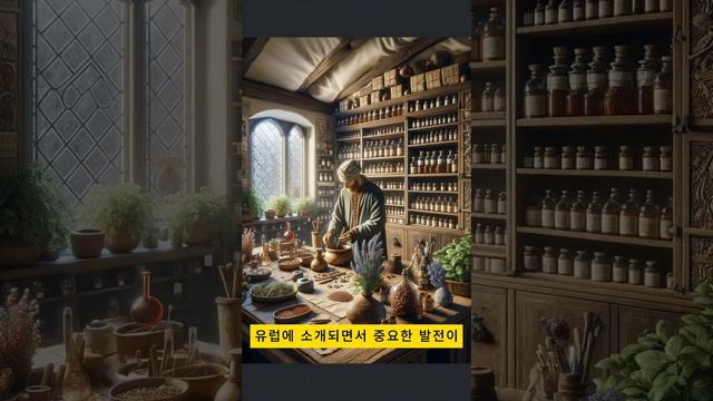 중세 유럽: 암흑 시대의 진실을 밝히다(43부_역사_쇼츠)