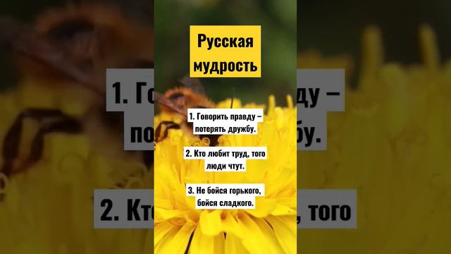 Русская #мудрость #саморазвитие