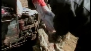 Земляне [Earthlings] (2005) [Лицензия] P1.DVDRip