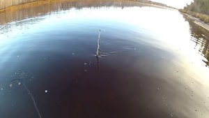 Рыбалка На Налима и Щуку На реке Конда. Осень Октября. 2020