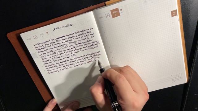 W005.Writing with Montblanc 146 Platinum Coated F nib, Daily Journal, February 18, 2023