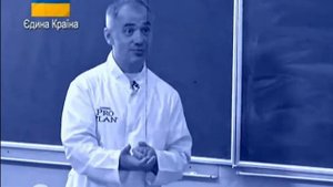 Половая гигиена самца . Смегма  у пса .