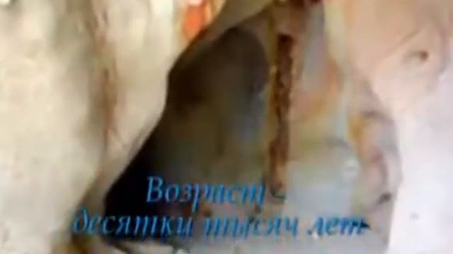 1.11. Неопознанные ископаемые объекты.