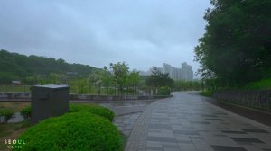 Relaxing Rain Walk in the Dream Forest and Nature Sounds