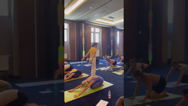 Вспоминаем #YOGACAMP2023