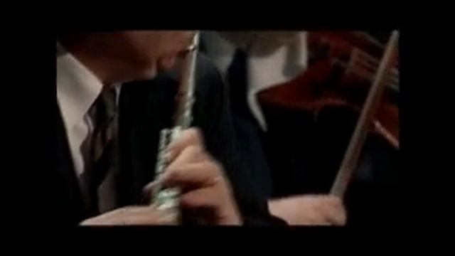 mozart flute et trio à cordes.avi смотреть онлайн