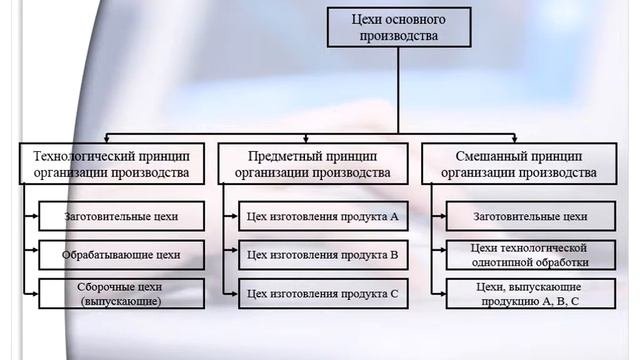 Вейнгардт К В  экономика организации  урок 3 Производственная структура предприятия