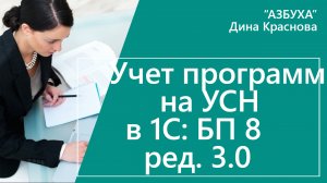 Учет программ на УСН в 1С Бухгалтерия 8