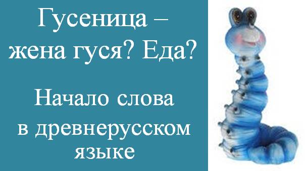 Подготовка к олимпиадам по русскому языку. Начало слова в древнерусском языке. Гусь и гусеница.