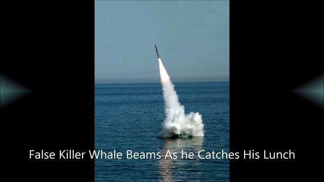 Песня ветеранов - подводников смотреть онлайн