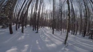 Ski-Doo Skandic Deep Snow Chaga hunting in Alaska during Spring Break.  Resurrection Power of Jesus