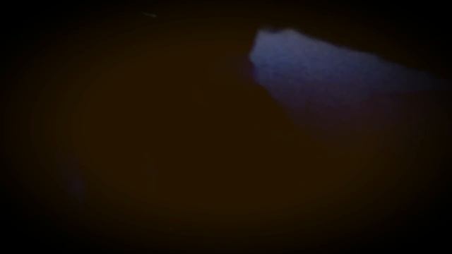 НАЛИМ. НОЧНАЯ РЫБАЛКА В ОМСКЕ смотреть онлайн