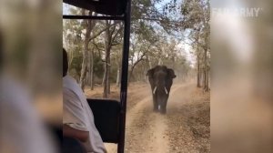Damn Nature You Scary Pt. 2 Funny Scary Animal Encounters