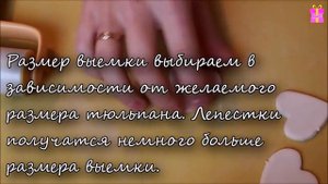 Цветы из мастики Бутон тюльпана из сахарной мастики мастер класс