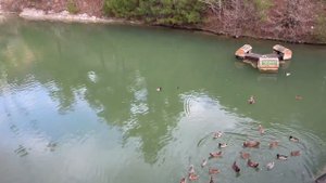 САНАТОРИЙ ИМЕНИ Н.И. ПИРОГОВА В ГЕЛЕНДЖИКЕ~Парк Олимп~Канатная дорога,зоопарк/отель Приморье