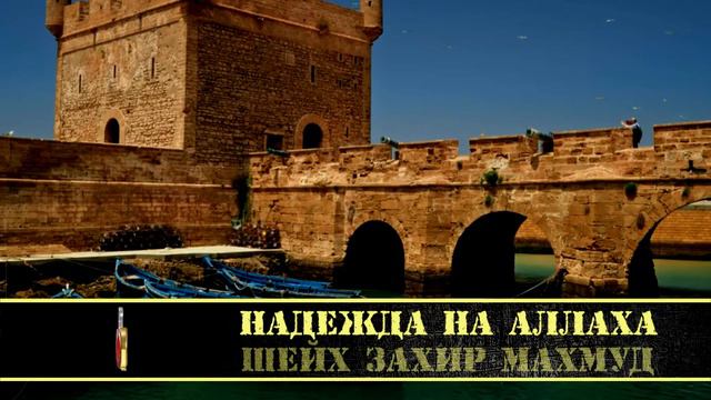 Шейх Захир Махмуд - Надежда на Аллаха смотреть онлайн