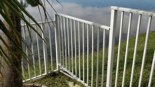 OnePlus 5T 4K rear video cameras after the update смотреть онлайн