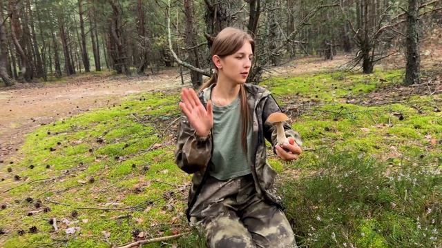 Собираем боровики в засуху в чудесном лесу! смотреть онлайн