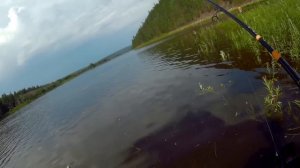 КАК ПОЙМАТЬ БОЛЬШУЮ ЩУКУ на СВИМБЭЙТ? Раскрываю секреты техники ловли.