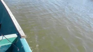 Астрахань. На лодке.