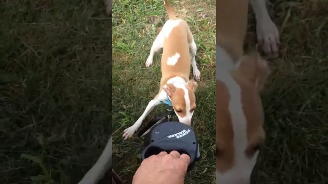 Day 1 смотреть онлайн