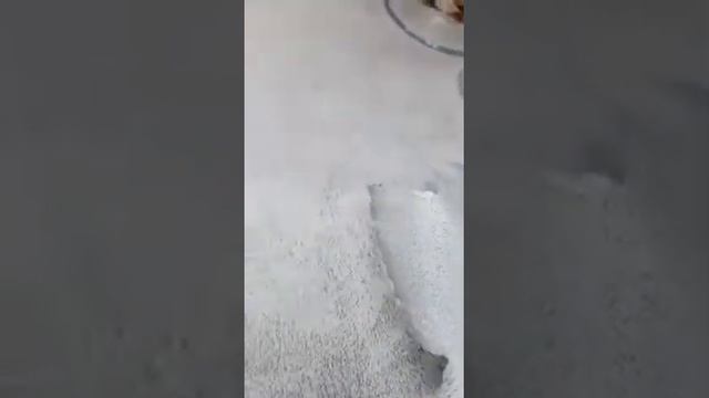 Скатерть на стол праздничная 150х200+салфетки. Серая однотонная. смотреть онлайн