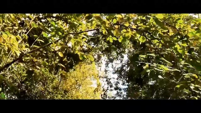 SONNET XCVII #sonnetxcvii #williamshakespeare смотреть онлайн