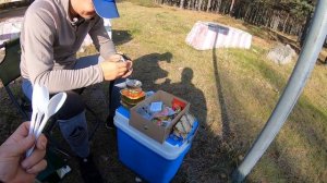 Выборгский р-он пос. Кирилловское #грибы