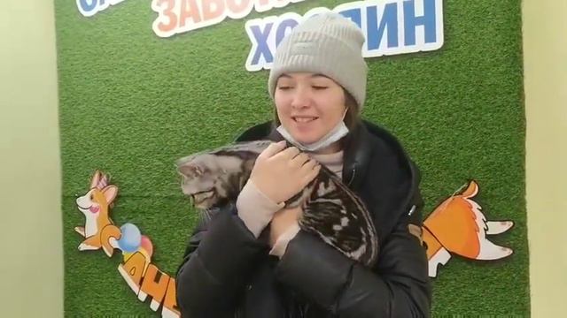 Кадырова Влада Ильясовна и кошка Джуди. Ветклиника Сытая Морда смотреть онлайн