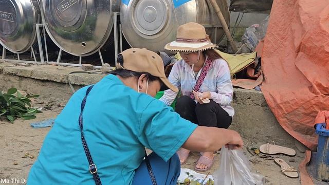 Harvesting Litchi Fruit Garden goes to the market sell - Build A New Life - Ma Thi Di смотреть онлайн