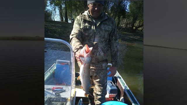 Рыбаки и рыбки смотреть онлайн