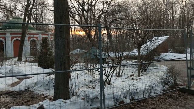 Вырубка деревьев в Нескучном саду. смотреть онлайн