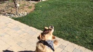 ANOIR – Доктор Стрэндж: Что с Тобой Не Так?