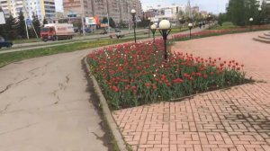 Город Альметьевск: Прогулялся по нефтяной столице Татарстана город Альметьевск