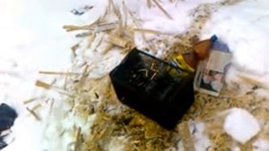 издеваются над мышкой