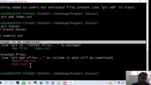 Lec 3 - Putting files from working directory to  local repo