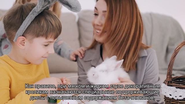 Налипание кала под хвостиком у кролика смотреть онлайн