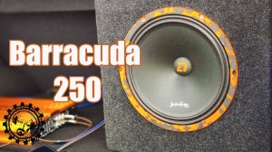 Громкий Эстрадный Динамик Barracuda 250 от компании DL AUDIO