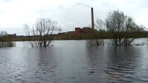 Наводнение - паводок 25.05.2020 д.Бердинка (г.Сокол, Вологодская область) река Сухона.