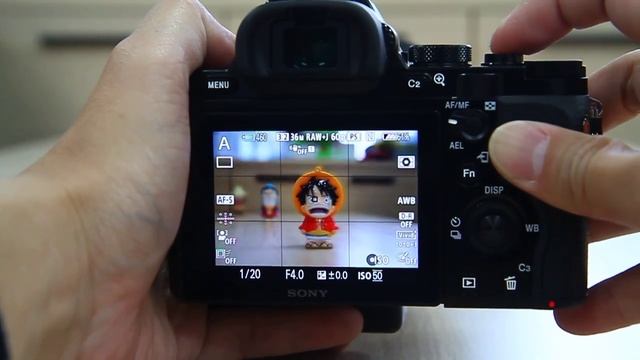 【Sony A7R+SAL2470Z】自動對焦速度 смотреть онлайн