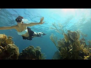 AlimkhanOV A. & Systems In Blue - System In Blue (Cover-Remix)