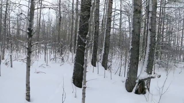 6. 01. 19 год смотреть онлайн
